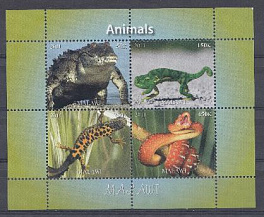 2011 год. Малави. Крокодил, змея , ящерица.