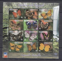 Бабочки. 2014 год. Республика Доминика.