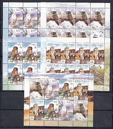 Птицы. Беларусь 2007 год. Совы.