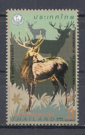 Фауна. Таиланд 2014 год.  Олени. 3