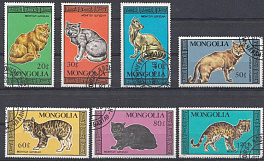 Кошки. Монголия 1987 год.