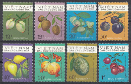 Флора. Экзотические фрукты. Вьетнам 1975 год.