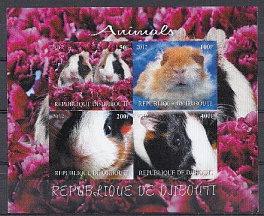 Фауна. Кролики. Республика Джибути 2012 год.