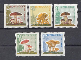 3036 -3040 Без лакировки СССР 1964 год. Грибы.