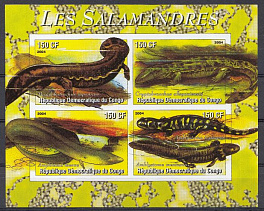 Рептилии. Республика Конго 2004 год. Тритоны.